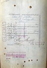 International Mercantile Marine Stock Certificate 1920s  Jp Morgan By Clerk 