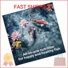 Kaytee Koi s Choice Floating Fish Food For Koi  Goldfish   Pond Fish