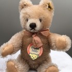 Vintage Steiff Original Teddy   0201 19   1950s   mohair   bear   w    eulan   tag       button   ge