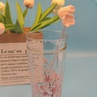 2024 Starbucks Spring Pink Sakura Double Glass Straw Mug With Sakura Stopper