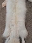 Rare Big Ranch Pink Fox Hide Pelt Freshly Tanned  Luxurious Fur 4 Legs