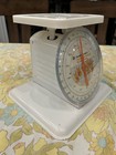 Rare Find  Vintage Mcm American Family Health O Meter Nursery Scale Bunny Theme