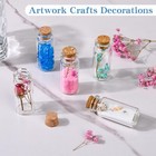 24 Pack Glass Bottles With Cork Stopper   mini Glass Bottle With Cork   small Diy De