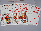Skat German Card Game Deck Of Fx Schmid Parkbrau Beer Playing Cards In Case