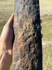Nice Colorful Extinct Baleen Whale Bone Fossil Segment-not Modern
