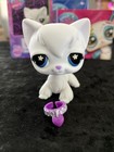 Littlest Pet Shop Pet Surprise Blind Box Series 5 G2 Retro White Cat  452