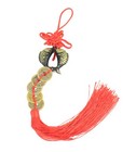 Feng Shui Double-fish With 5-coin Lucky Charm