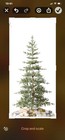 Balsam Hill Alpine Balsam Fir Tree 6 5ft Pre-lit