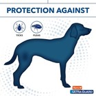 Hartz Ultraguard Flea   Tick Collar For Dogs   Puppies 26   7 Month Protectionus