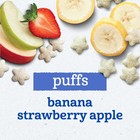 Gerber Baby Snacks Puffs Variety Pack  Banana   Strawberry Apple  1 48 Ounce    