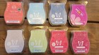 Huge Scentsy Wax Melt Lot Of 20 - Some Discontinued