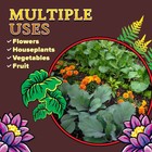 Foxfarm Happy Frog Ready To Use Potting Soil For Indoor And Outdoor Use  12qt