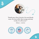 Cat Respiratory Infection   Nasal Relief