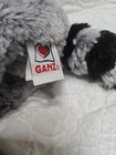 Ganz Webkinz Raccoon Plush Stuffed Animal No Code Retired