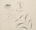 Gyokusho Pink Dianthus Japanese Woodblock Print Original Meiji Pinks