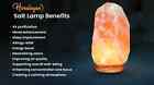 Natural Himalayan Rock Salt Lamp - Large 6    Air Purifying Night Light Free Ship
