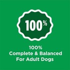 Dog Chow Complete Adult Dry Dog Food  High Protein Real Chicken 18 5 Lb Bag