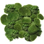  Pieces Artificial Moss Rock Assorted Sized Decorative Faux Green Stones 20
