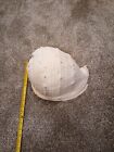 Super Large Antique Conch Shell Beautiful Ocean Beach Decor Ultra Rare Size