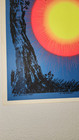 In The Morning Vintage 1970 Rare Blacklight Poster  Synthetic Trips