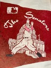 1969 Vintage Washington Senators Baseball Full-size Felt Pennant - 29   