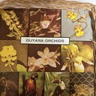 Vintage Souvenir From Guyana   Georgetown Zoo Beautiful Collection Piece Rare