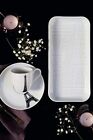 Pillivuyt Ville De Paris Collection 4-set Dinner Plates White Decor Border   
