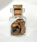 4 42 Grams iron Meteorite Variety  Whole Pieces In Gift Jar cosmic Keepsake 