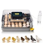 48 Eggs Incubator Automatic Digital Chicken Egg Hatcher Temperature Control