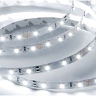 33ft Flexible Led Strip Light W  Power Supply Daylight White 6000k Smd 2835 24v