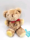 Vintage Eden Toys Teddy Bear Stuffed Plush Animal With Tags Wind-up Musical