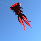5m Large Goldfish Kite Soft Inflatable Kite 30d Ripstop Fabric 6 Color Available