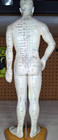 Vintage 20  Tall Acupuncture Acupressure Male Model Doll Rubber Chinese Stand