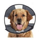 Zenpet Zencone Medium Soft Recovery Collar 12-15    M New  Free Shipping 