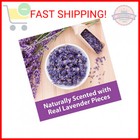 Kaytee Clean   Cozy Lavender Bedding For Pet Guinea Pigs  Rabbits  Hamsters  Ger