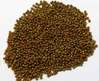 Vintage Antique Czech Glass Seed Beads Bright Metallic Gold Iris Ab 11 0 To 10 0