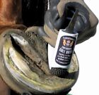 Bar   Sole Rasp Evolutionary Horse Hoof Care White Original Sr-1 Farrier Tool