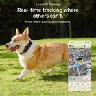 Satellai Gps Tracker For Dog W  Health Monitoring Virtual Boundary Live Tracking