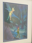 Original Walt Disney Peter Pan Making Mischief Tinkerbell Le 3500 Seri Cel Cell