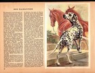 Vintage Dalmatian Dog Print Robert Scholz Dalmatian Art Illustration 5703j