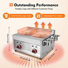 Countertop Gas Fryer commercial Deep Fryer 2 Basket Propane Lpg Stainless Steel