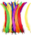 Natural Rooster Tail Feathers 50pcs 10-12inch Long Rooster Coque Tail Feathers B