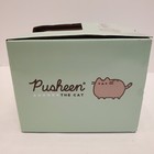 Pusheen The Cat Ramen Soup Bowl New In Box Pink Bowl Gray Cat Eating Noodles