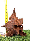 Malaysian Driftwood For Aquarium Fish Tank  Reptile Natural Pet Safe -m 10x6x5
