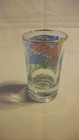 Catalina Island Beach Souvenir Shot Glass