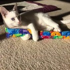 Kitty Kick Stix 11 Original Catnip Kicker Toy Set Of 2  Handmade In Usa By Cat L