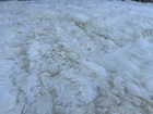 Large Baby Alpaca Area Rug Throw Fur Blanket 90   x90   