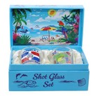 Dominican Republic Caribbean Boxed Shot Glass Set  set Of 2 
