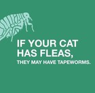  2  New Elanco Tapeworm Dewormer  6 Praziquantel Tablets For Cats  05 27 