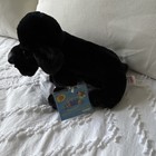 Ganz Webkinz Black Lab Plush Toy 2005 Retired With Sealed Code Hm136
